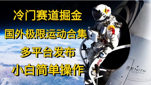 冷门赛道掘金，极限运动合集，多平台发布，小白简单操作-网创财富岛