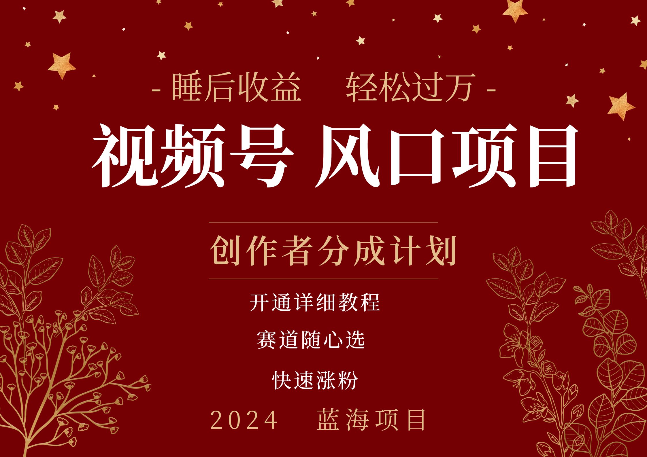 拥有睡眠收益的微信视频号大风口项目，轻松月入过万+，多赛道选择，可矩阵，玩法简单轻松上手-网创财富岛