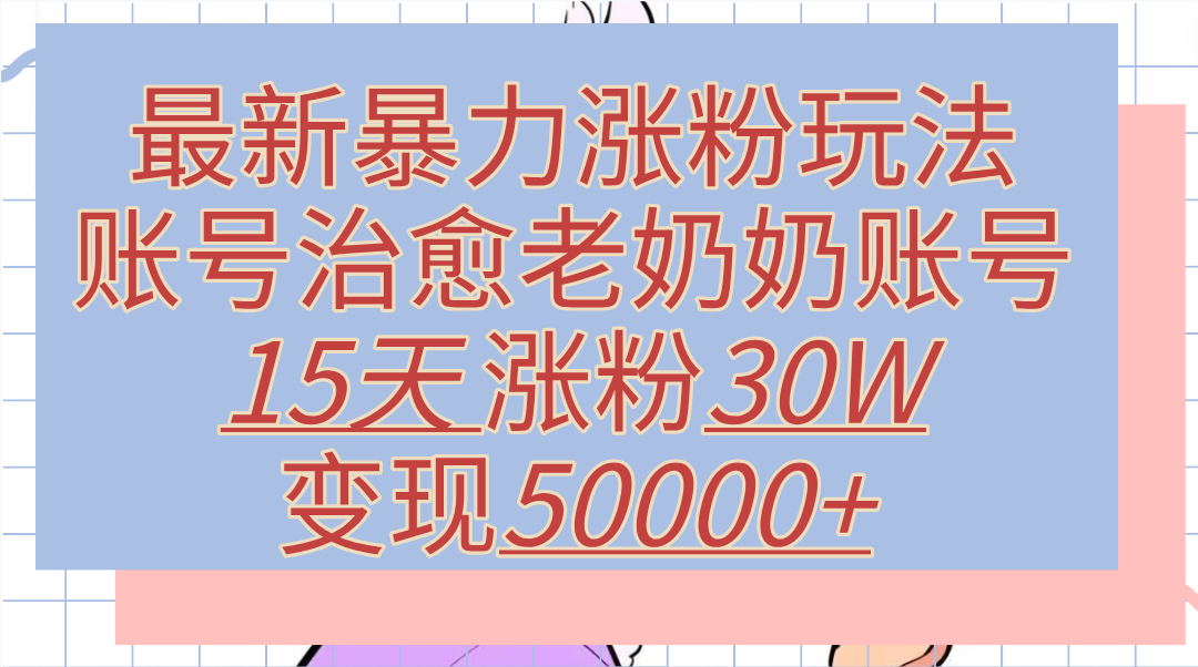 最新暴力涨粉玩法，治愈老奶奶账号，15天涨粉30W，变现50000+【揭秘】-网创财富岛