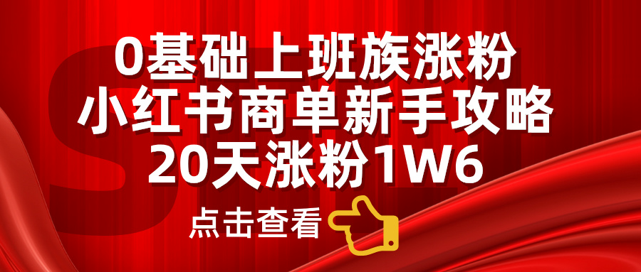 0基础上班族涨粉，小红书商单新手攻略，20天涨粉1.6w-网创财富岛