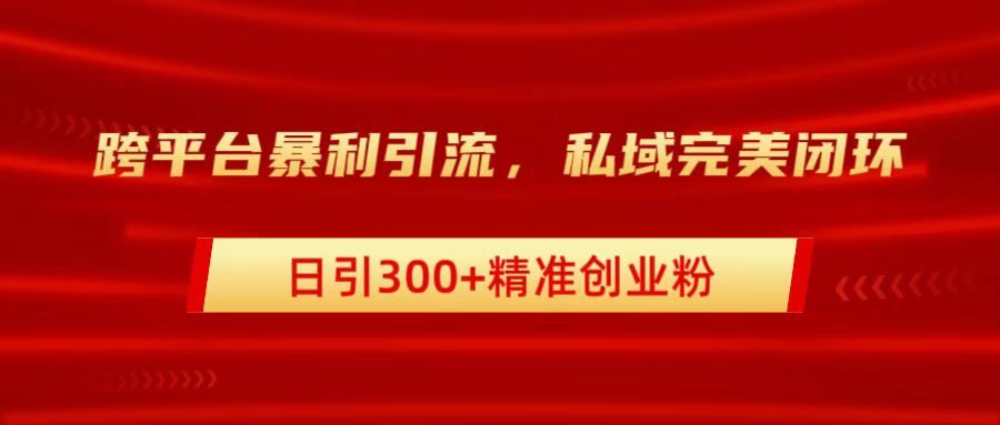 跨平台暴力引流，私域完美闭环，日引300+精准创业粉-网创财富岛
