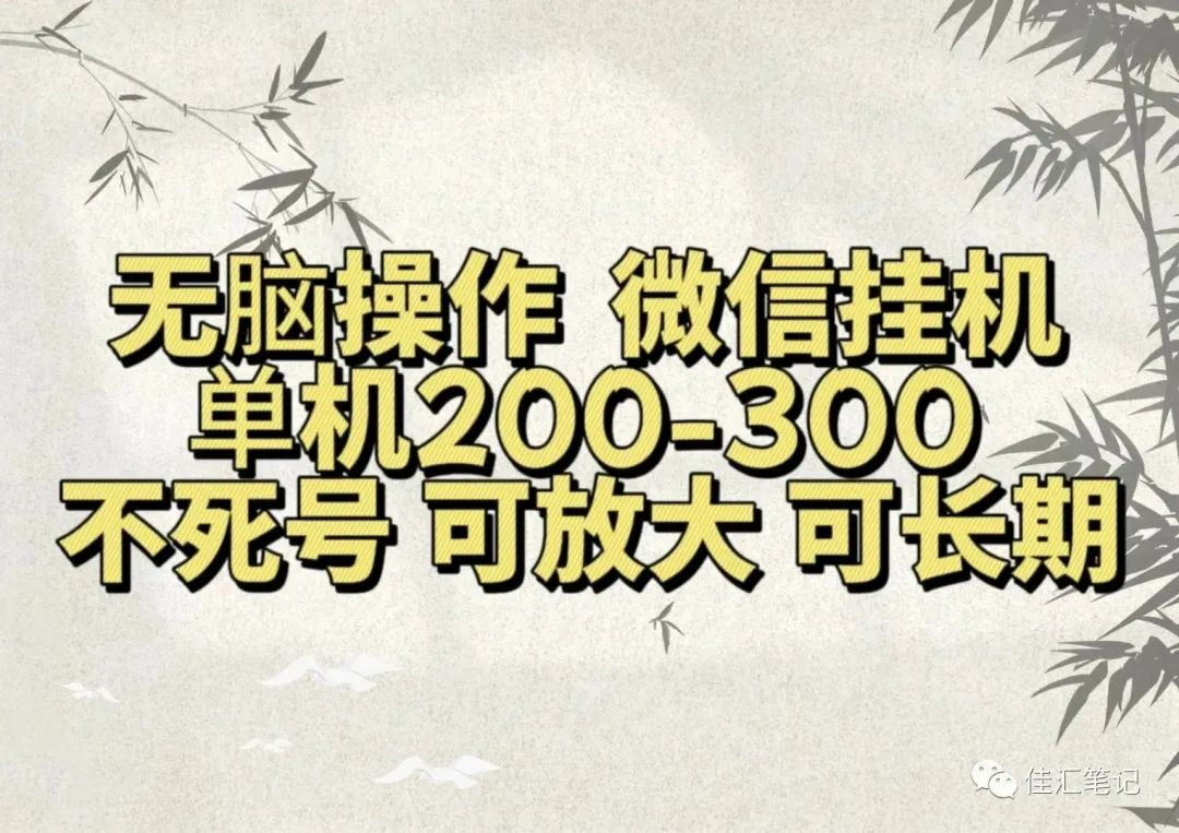 无脑操作微信视频号挂机单机200-300一天，不死号，可放大，工作室实测-网创财富岛