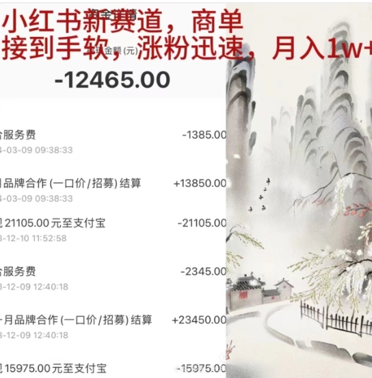小红书新赛道，商单接到手软，涨粉迅速，一个月1w+-网创财富岛