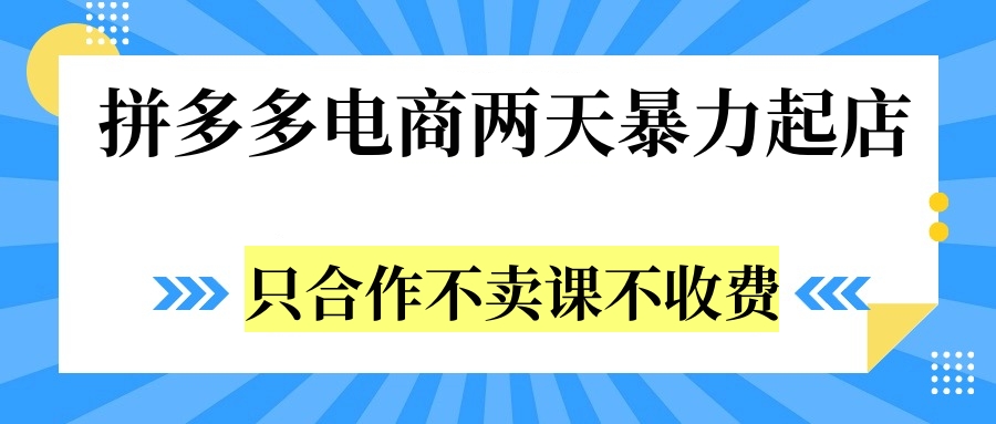 拼多多两天暴力起店，只合作不卖课不收费-网创财富岛