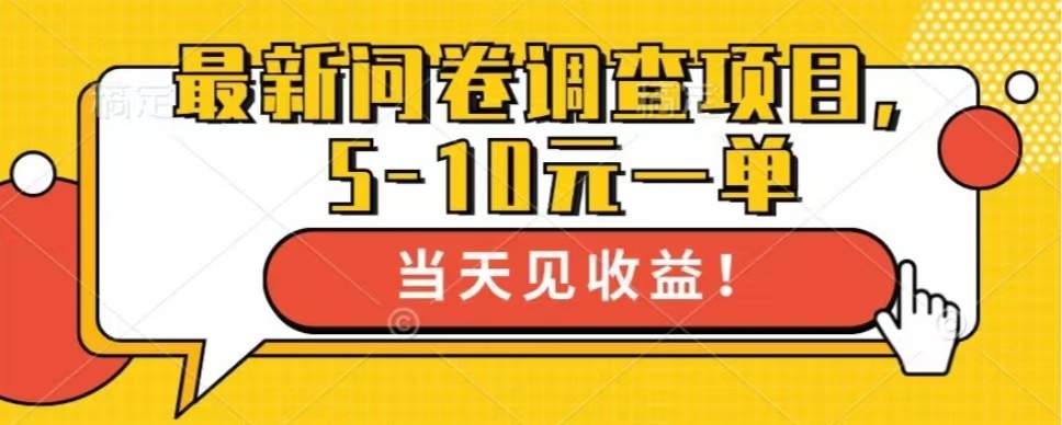 最新问卷调查项目，共12个平台，单日零撸100＋-网创财富岛