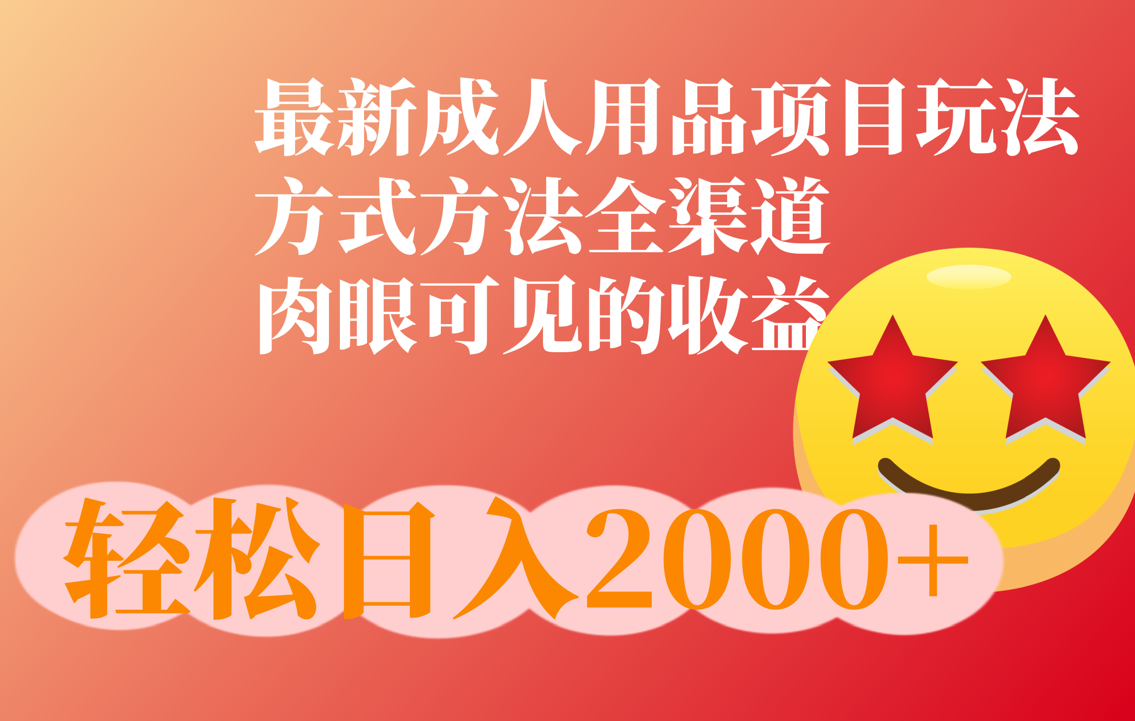 成人用品项目最新玩法，方式方法全渠道-网创财富岛