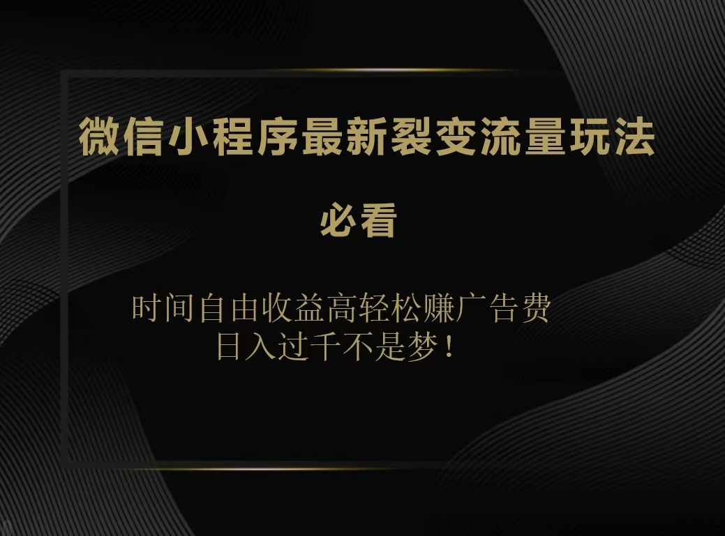 微信小程序最新裂变流量玩法，时间自由收益高轻松赚广告费，日入200-500+-网创财富岛