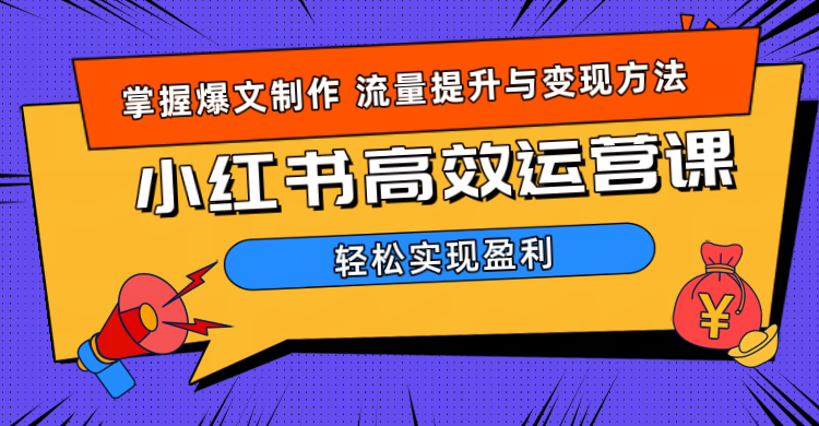 价值980小红书运营操作指南-网创财富岛