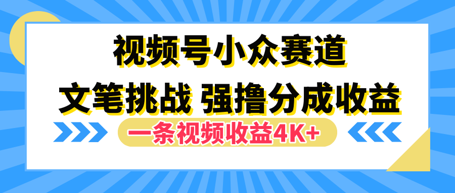 视频号小众赛道，文笔挑战，一条视频收益4K+-网创财富岛