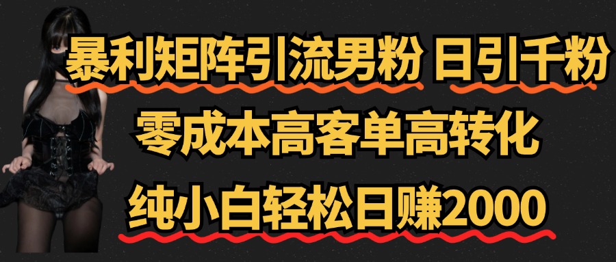 暴利矩阵引流男粉（日引千粉），零成本高客单高转化，纯小白轻松日赚2000+-网创财富岛