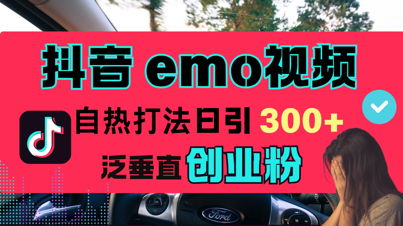 抖音“EMO视频”自热流打法，日引300+泛垂直创业粉-网创财富岛