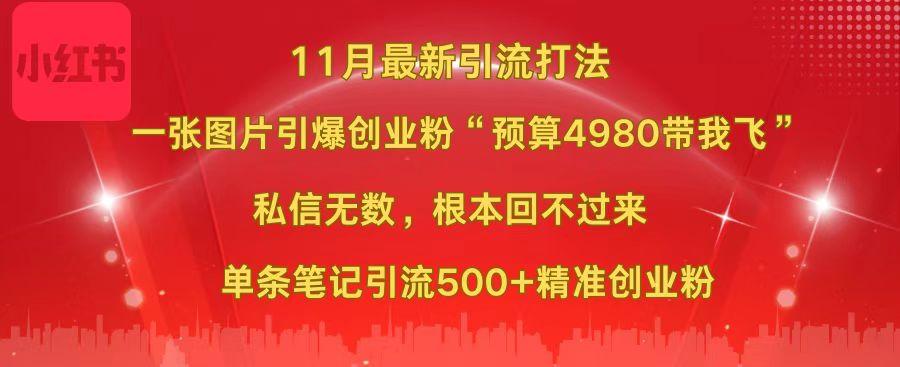 小红书11月最新图片打法，一张图片引爆创业粉“预算4980带我飞”，私信无数，根本回不过来，单条笔记引流500+精准创业粉-网创财富岛