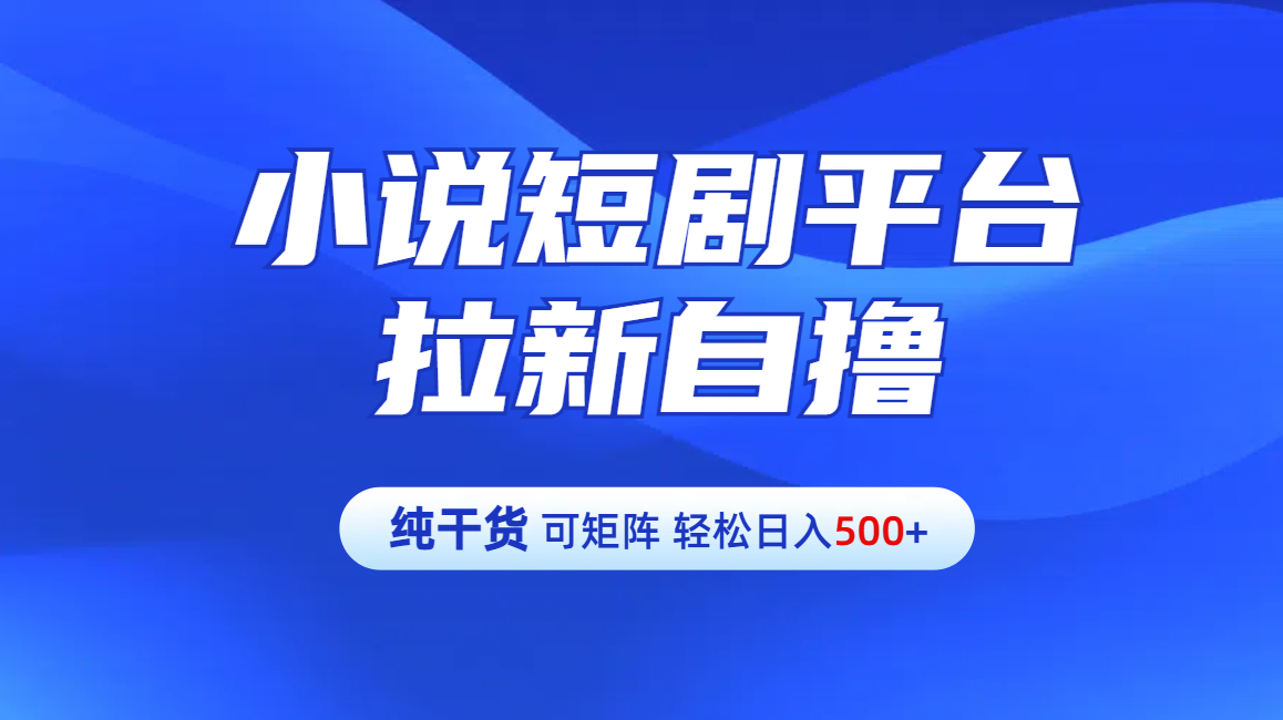 【纯干货】小说短剧平台拉新自撸玩法详解-单人轻松日入500+-网创财富岛