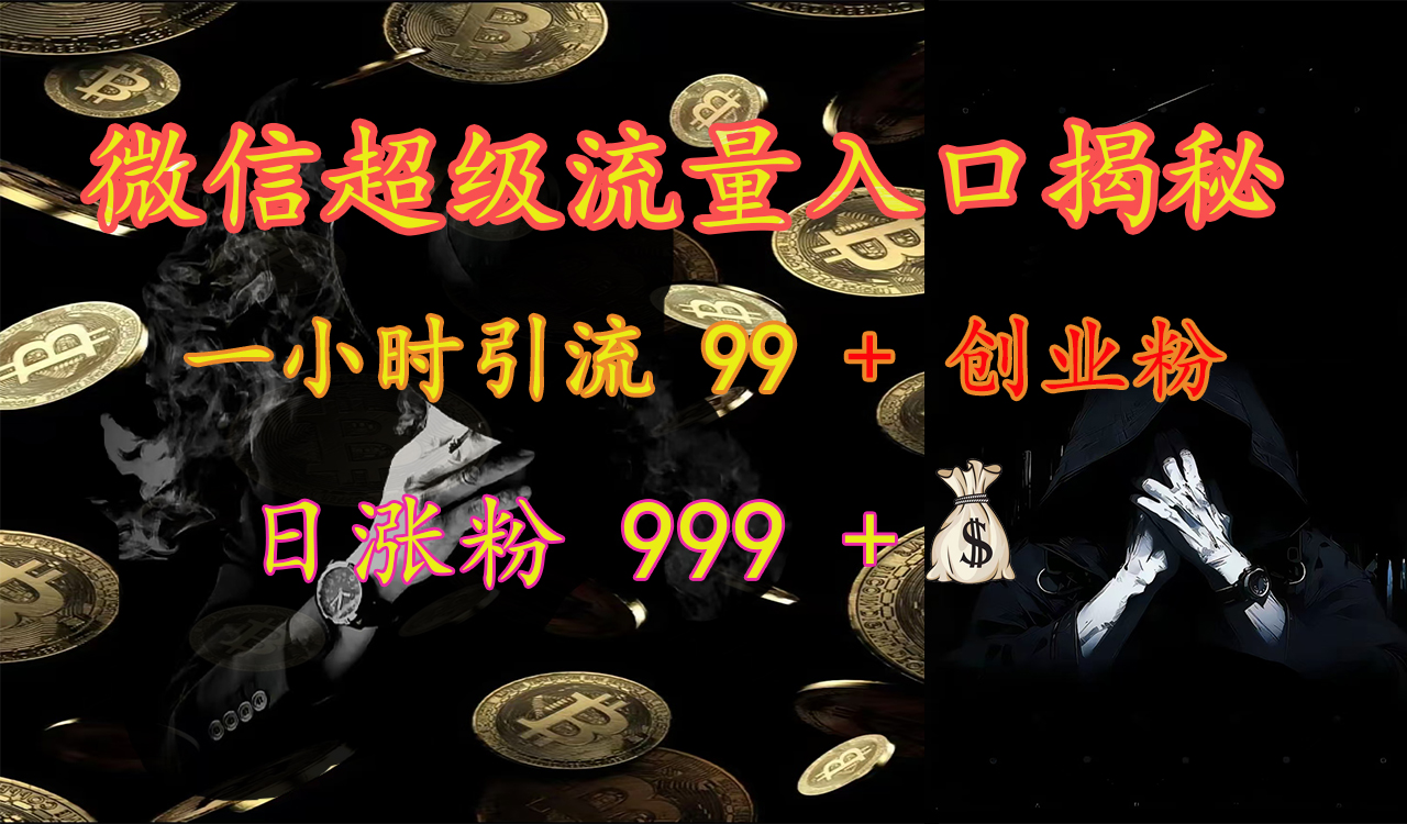 微信超级流量入口揭秘：一小时引流 99 + 创业粉，日涨粉 999 +【揭秘】-网创财富岛