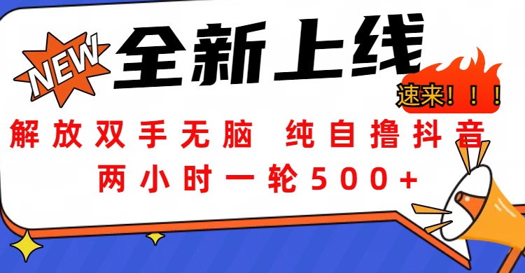 解放双手无脑 纯自撸抖音 两小时一轮500+-网创财富岛