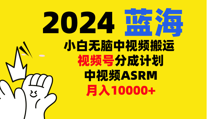 小白无脑复制-中视频视频号-分成计中视频ASRM-网创财富岛