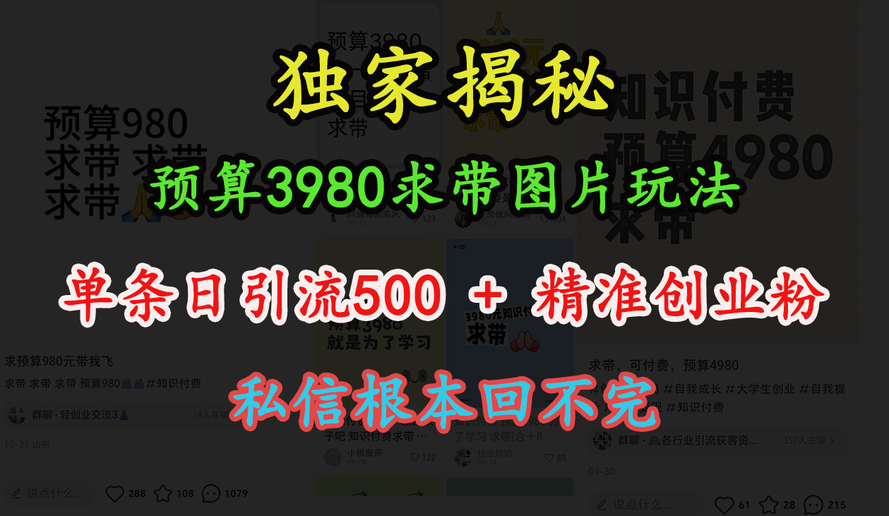 “小红书”预算3980求带 图片玩法，单条日引流500+精准创业粉，私信根本回不完-网创财富岛