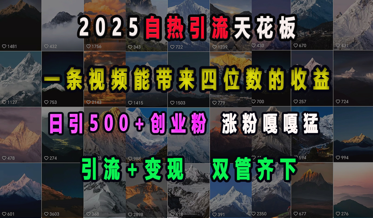 2025自热引流天花板，一条视频能带来四位数的收益，引流+变现双管齐下，日引500+创业粉，涨粉嘎嘎猛-网创财富岛
