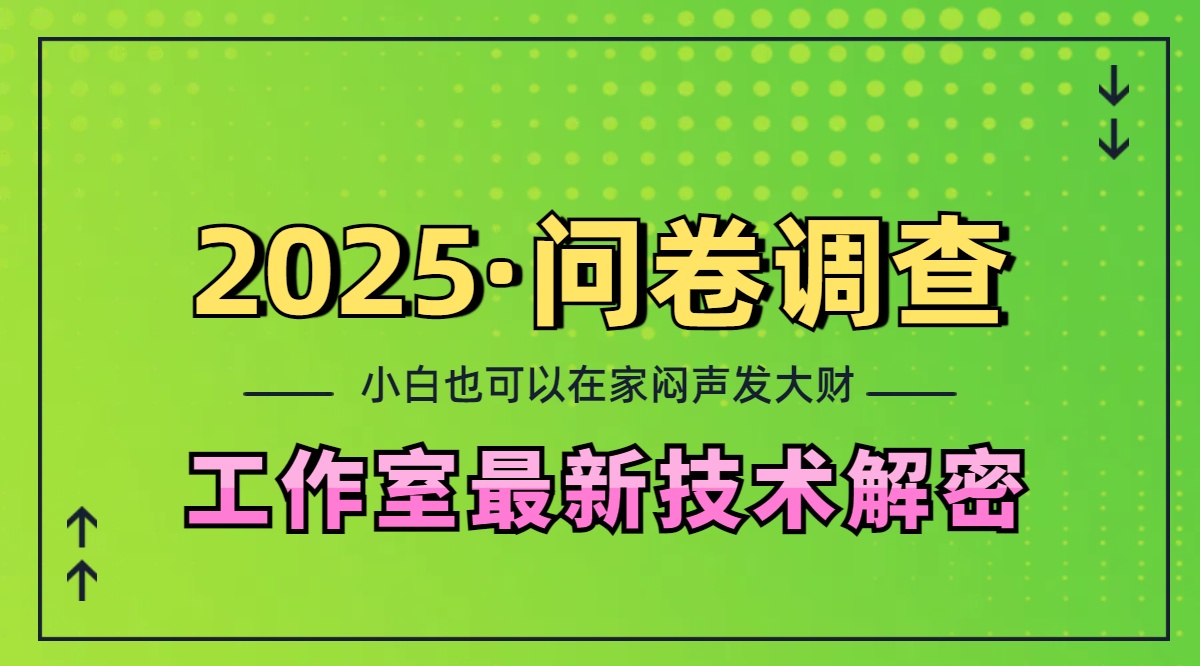 2025《问卷调查》最新工作室技术解密：一个人在家也可以闷声发大财，小白一天200+，可矩阵放大-网创财富岛