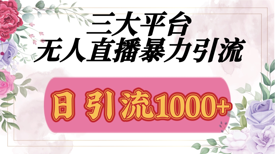 抖音，快手，视频号全平台通用，无人直播引流法，利用图片,模板,整套话术挂机全天支持矩阵操作，无限设备多开，超暴力引流，1000+高质量精准创业粉-网创财富岛