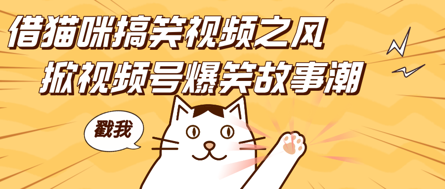 借猫咪搞笑视频之风，掀视频号爆笑故事潮，轻松日赚四位数，开启无门槛赚钱新体验！-网创财富岛