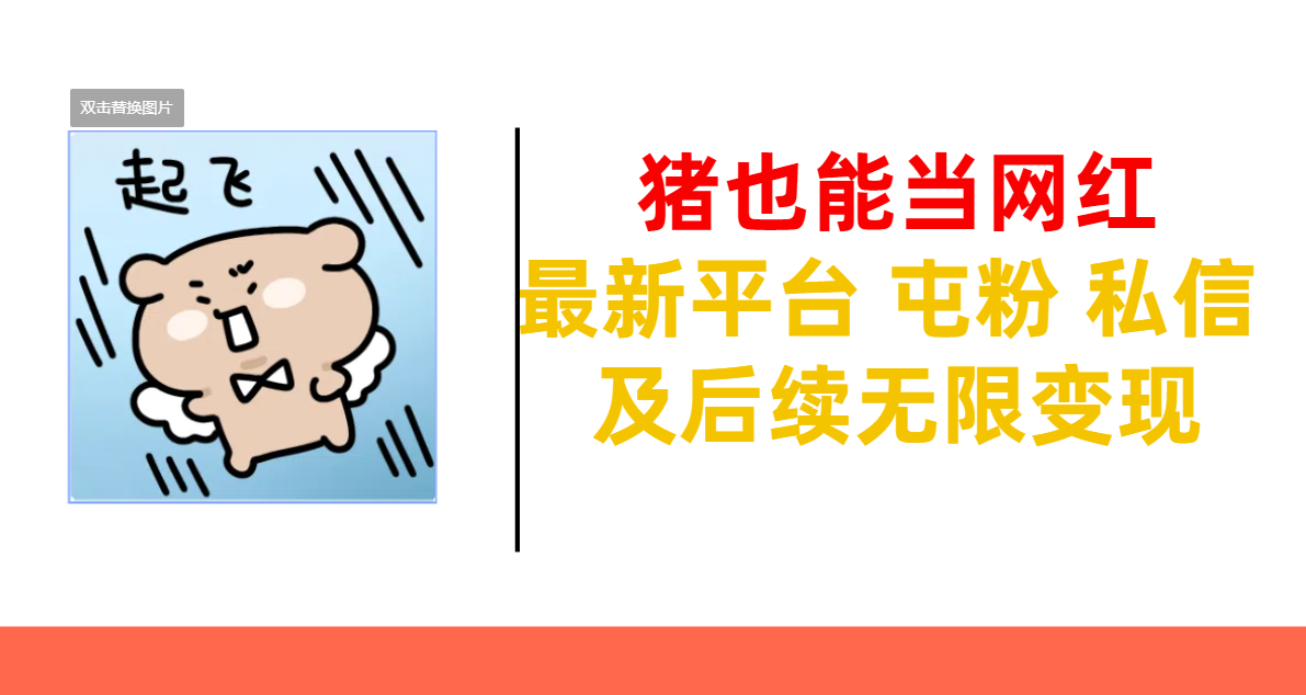 猪也能当网红-最新平台 屯粉 交流 私信 及后续无限变现-网创财富岛