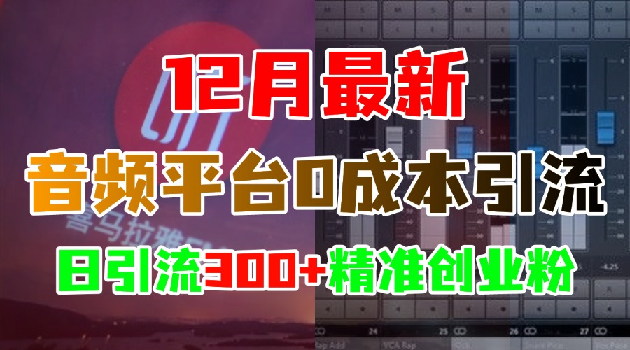 12月最新：音频平台0成本引流，日引300+精准创业粉-网创财富岛