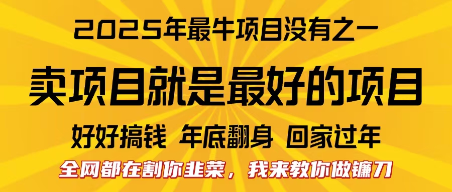 全网都在割你韭菜，我来教你做镰刀。卖项目就是最好的项目，2025年最牛互联网项目-网创财富岛