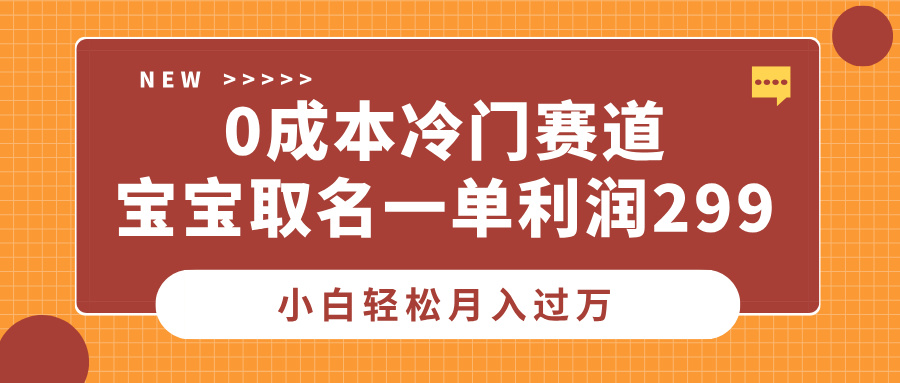 0成本冷门赛道，宝宝取名一单利润299，小白轻松月入过万-网创财富岛