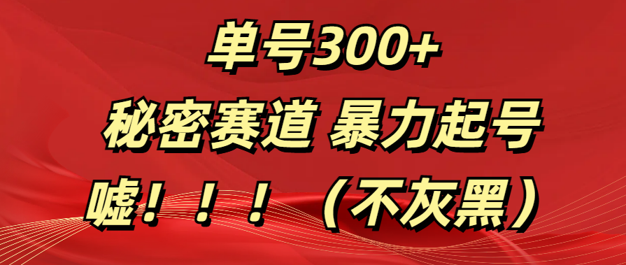 单号300+  秘密赛道 暴力起号  （不灰黑）-网创财富岛