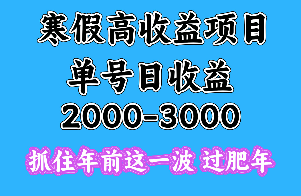 寒假期间一天收益2000-3000+，抓住年前这一波-网创财富岛