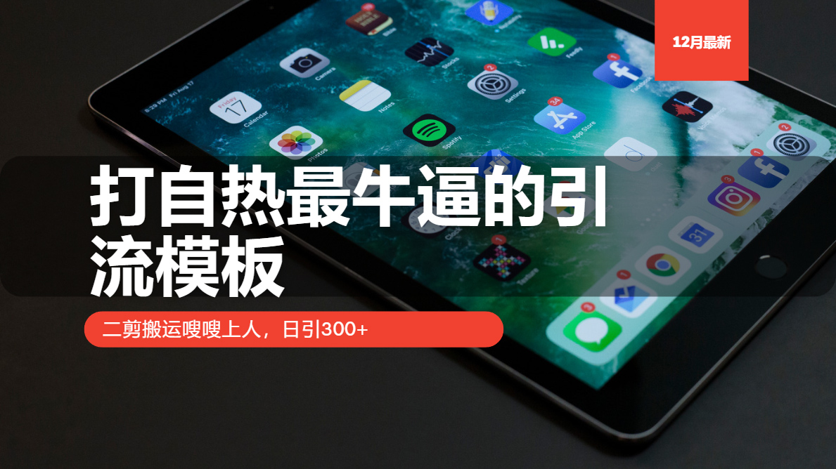 打自热最牛逼的引流模板，日引300+，二剪搬运嗖嗖上人-网创财富岛