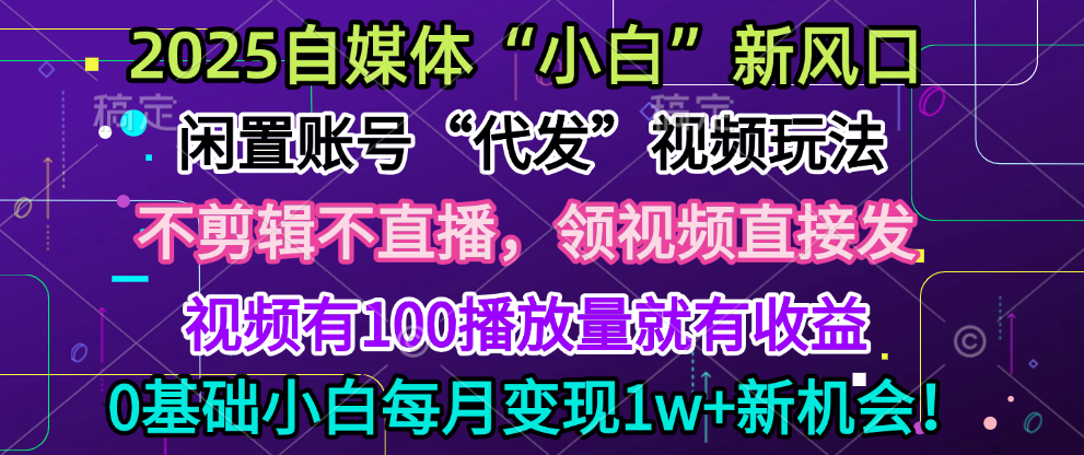 2025每月躺赚5w+新机会，闲置视频账号一键代发玩法，0粉不实名不剪辑，领了视频直接发，0基础小白也能日入300+-网创财富岛