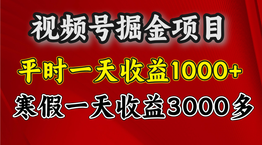 视频号掘金项目，寒假一天收益3000多-网创财富岛