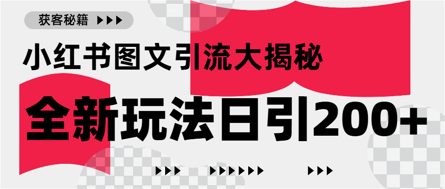 小红书图文引流，只需一张图片即可撬动百万流量，日引200+创业粉-网创财富岛