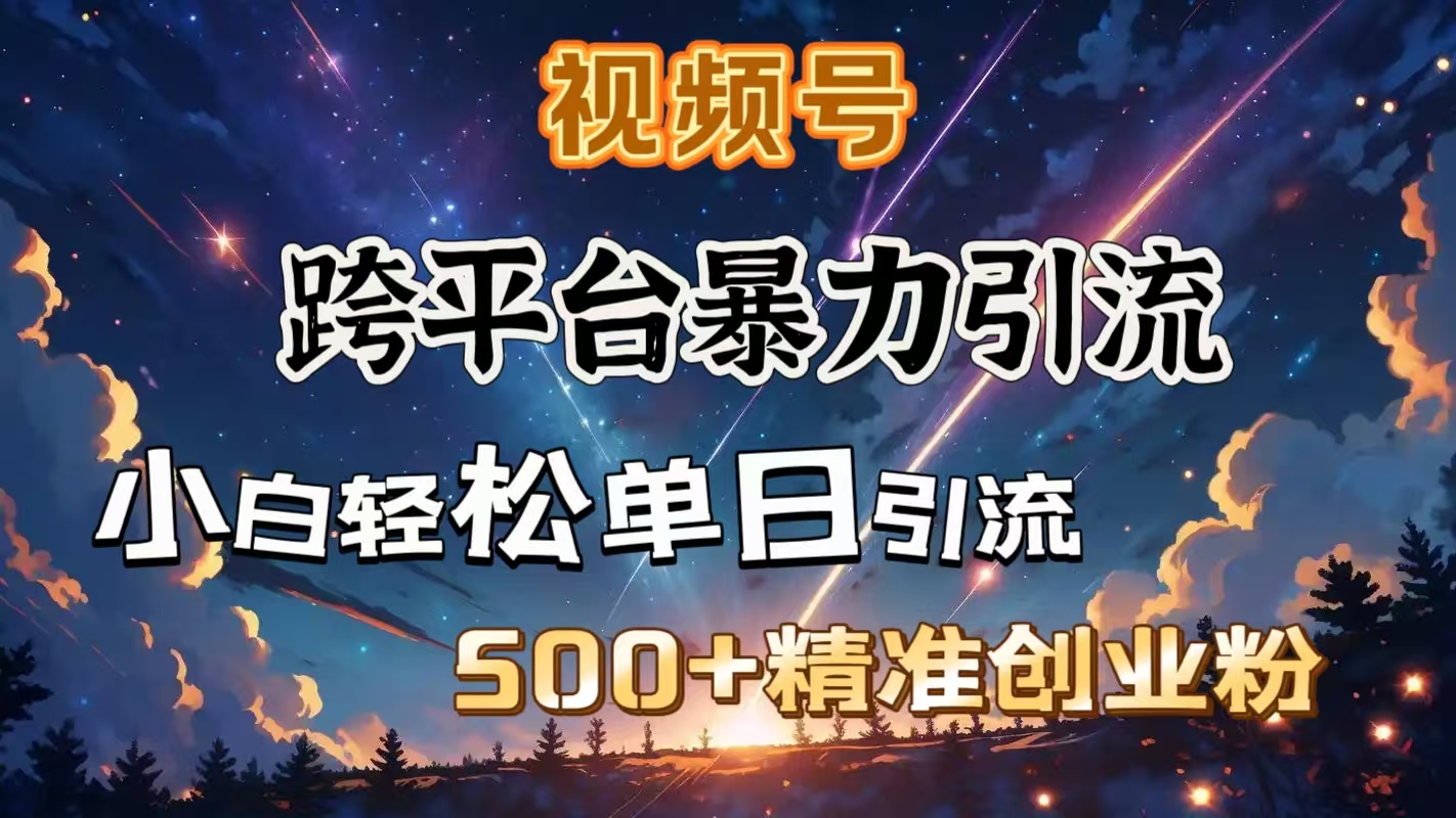 视频号跨平台暴力引流，小白轻松单日引流500＋精准创业粉-网创财富岛