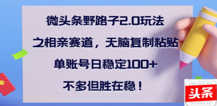 全网首发微头条野路子2.0玩法之相亲赛道，无脑搬砖复制粘贴，单账号日稳定300+保姆级教程-网创财富岛