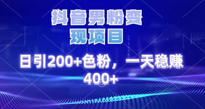 2025最新男粉项目 日引200 轻松月入2w+-网创财富岛