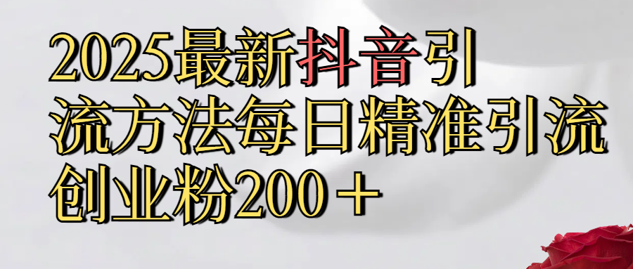 2025最新,抖音引流,方法每日精准引流创业粉300＋-网创财富岛