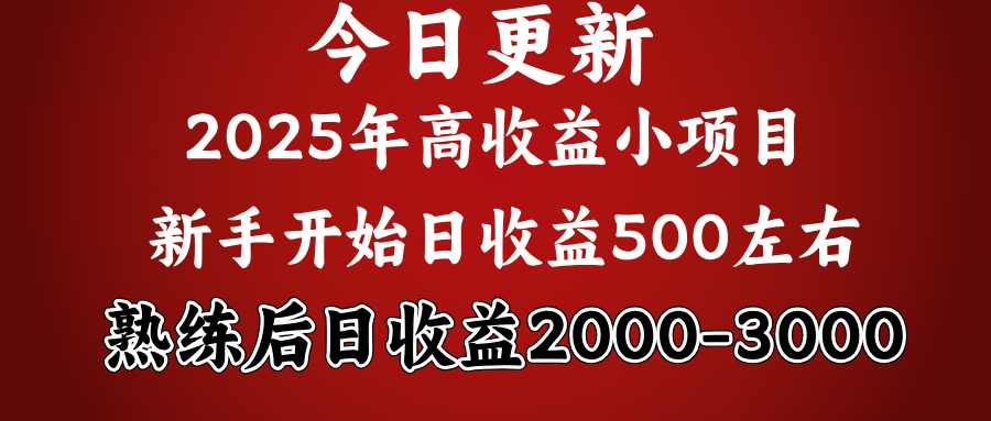 2025开年好项目，新手日收益500+ 熟练掌握后，日收益平均2000多-网创财富岛