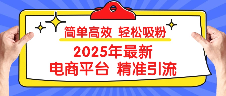 2025年最新电商平台精准引流 简单高效 轻松吸粉-网创财富岛
