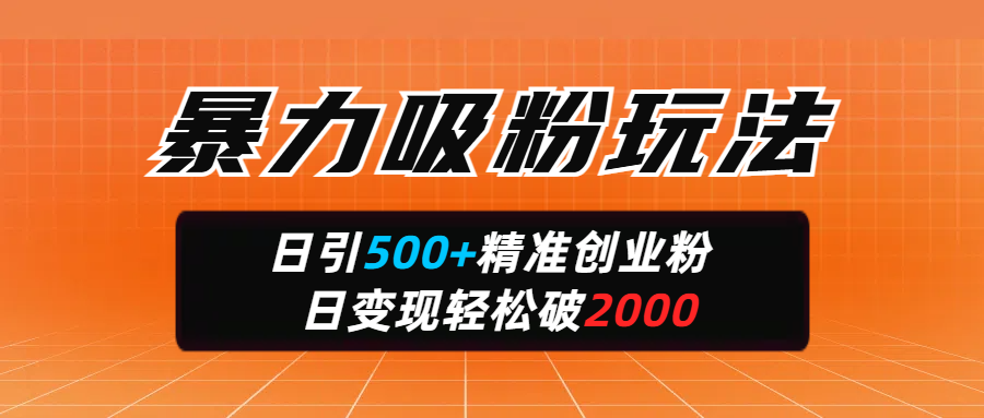 暴力吸粉玩法，日引500+精准创业粉，日变现轻松破2000-网创财富岛