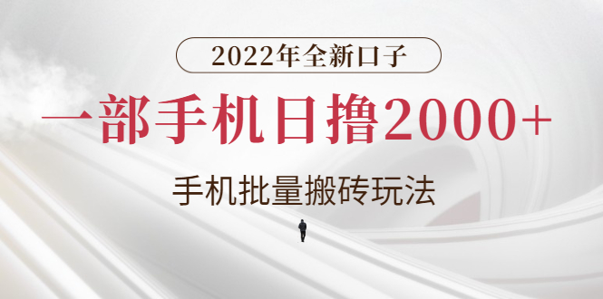 【副业项目3146期】2022年全新搬砖项目，手机批量搬运玩法，一部手机日撸1000+-网创财富岛
