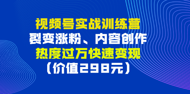 【副业项目3353期】视频号实战合集（视频号怎么创作推广涨粉）-网创财富岛