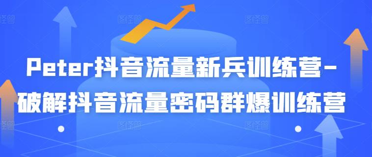 【副业项目3371期】破解抖音流量密码新人训练营（新人抖音怎么获取流量）-网创财富岛