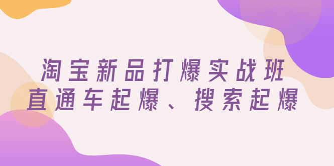 【副业项目3372期】淘宝新品打爆实战班（淘宝店铺如何增加流量和访客）-网创财富岛