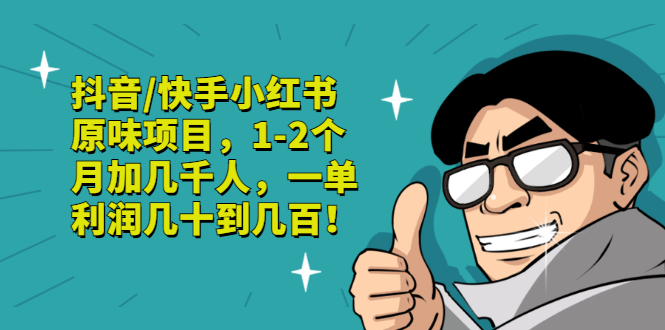 【副业项目3387期】抖音/快手小红书原味项目，月收入6000（互联网蓝海暴利项目）-网创财富岛