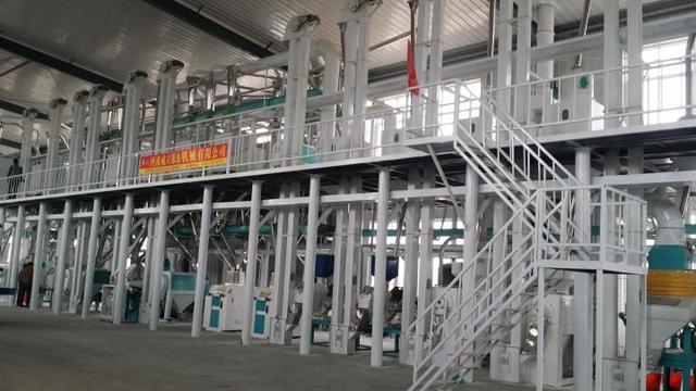 五十吨玉米深加工项目赚钱吗？小型玉米深加工项目有哪些？-网创财富岛