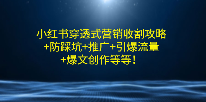 【副业项目3458期】小红书穿透式营销收割攻略+防踩坑+推广+引爆流量+爆文创作（小红书的营销方法策略）-网创财富岛