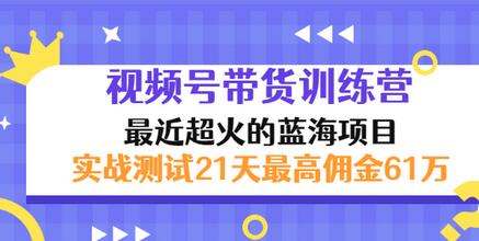 【副业项目3489期】视频号带货训练营，实战测试21天最高佣金61W（视频号带货怎么做）-网创财富岛